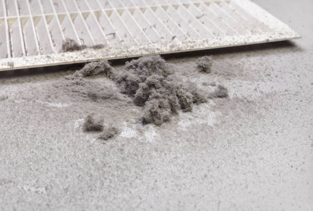 Best Affordable Duct Cleaning Services  in Waldo, FL