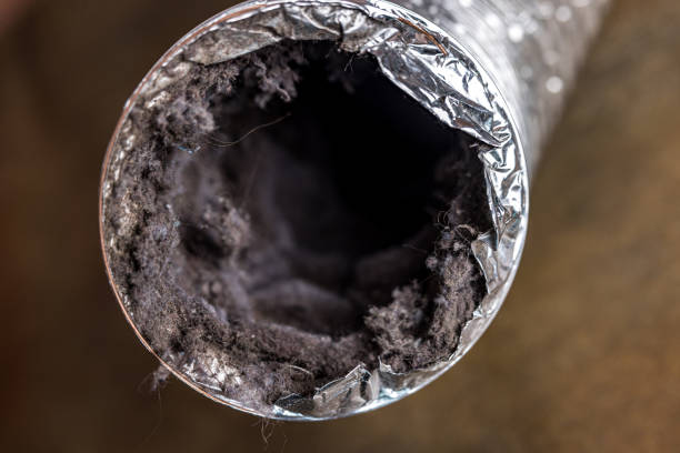 Ductwork Cleaning Services in Waldo, FL